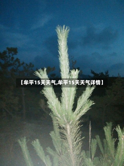 【牟平15天天气,牟平15天天气详情】