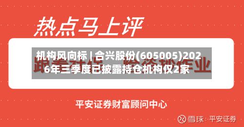 机构风向标 | 合兴股份(605005)2026年三季度已披露持仓机构仅2家-第1张图片