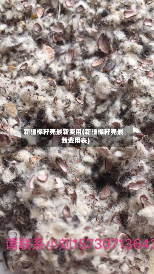 新疆棉籽壳最新费用(新疆棉籽壳最新费用表)-第3张图片