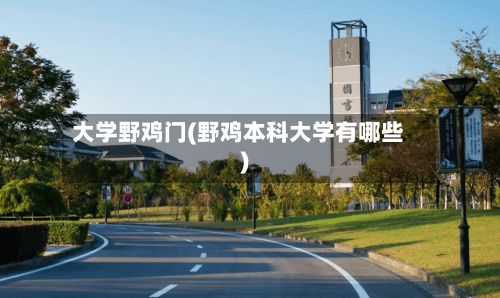 大学野鸡门(野鸡本科大学有哪些)