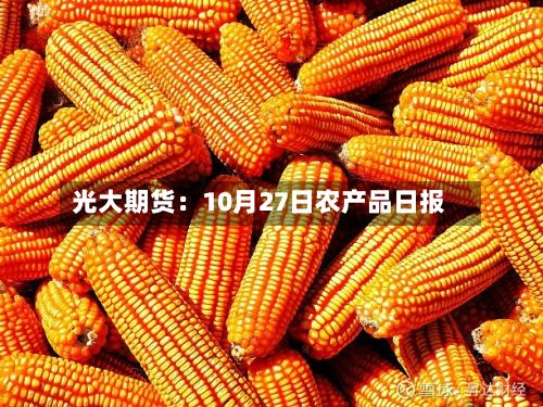 光大期货：10月27日农产品日报-第1张图片