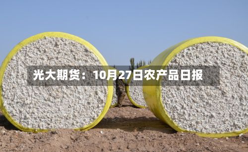 光大期货：10月27日农产品日报-第3张图片