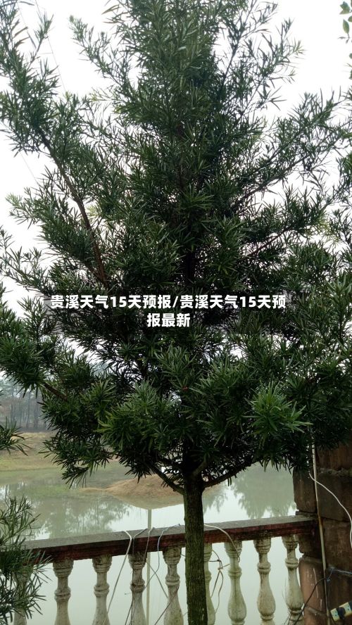 贵溪天气15天预报/贵溪天气15天预报最新