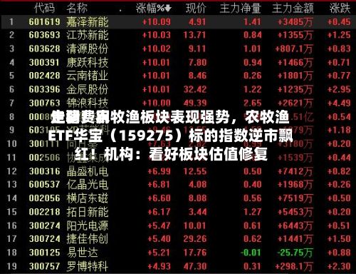 生猪费用走弱！农牧渔板块表现强势，农牧渔ETF华宝（159275）标的指数逆市飘红！机构：看好板块估值修复-第2张图片