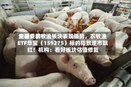 生猪费用走弱！农牧渔板块表现强势，农牧渔ETF华宝（159275）标的指数逆市飘红！机构：看好板块估值修复