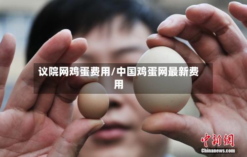 议院网鸡蛋费用/中国鸡蛋网最新费用-第3张图片