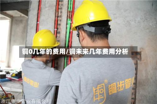 铜0几年的费用/铜未来几年费用分析