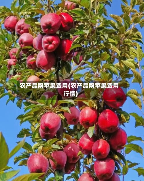 农产品网苹果费用(农产品网苹果费用行情)
