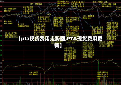 【pta现货费用走势图,PTA现货费用更新】
