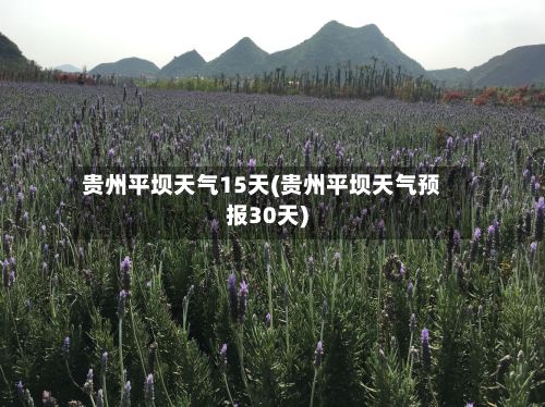 贵州平坝天气15天(贵州平坝天气预报30天)