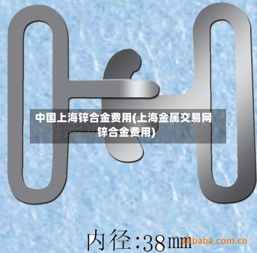 中国上海锌合金费用(上海金属交易网锌合金费用)