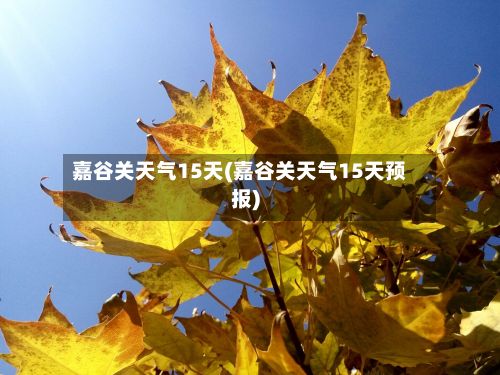 嘉谷关天气15天(嘉谷关天气15天预报)-第3张图片