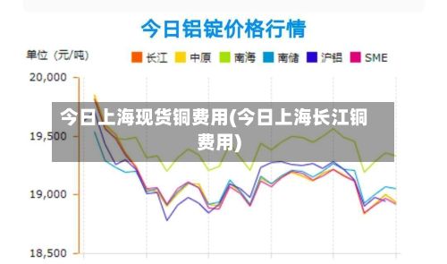 今日上海现货铜费用(今日上海长江铜费用)-第3张图片