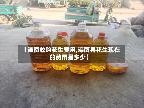【滦南收购花生费用,滦南县花生现在的费用是多少】-第2张图片