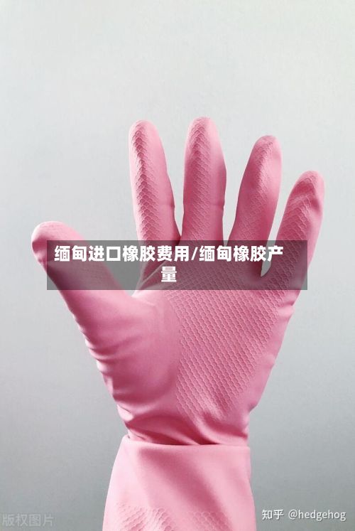 缅甸进口橡胶费用/缅甸橡胶产量