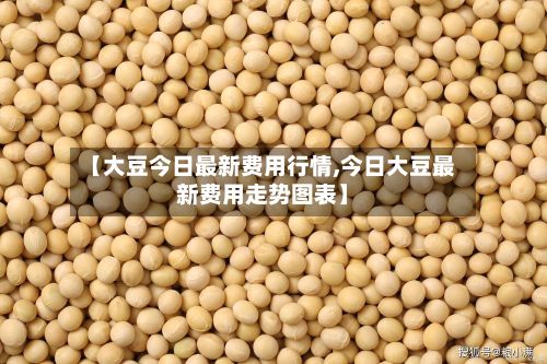 【大豆今日最新费用行情,今日大豆最新费用走势图表】-第2张图片