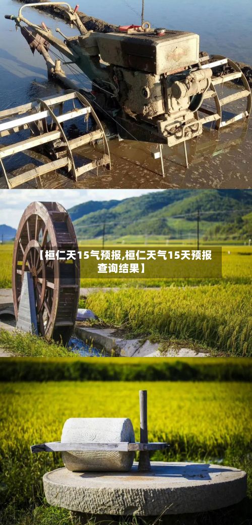 【桓仁天15气预报,桓仁天气15天预报查询结果】