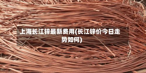 上海长江锌最新费用(长江锌价今日走势如何)-第3张图片