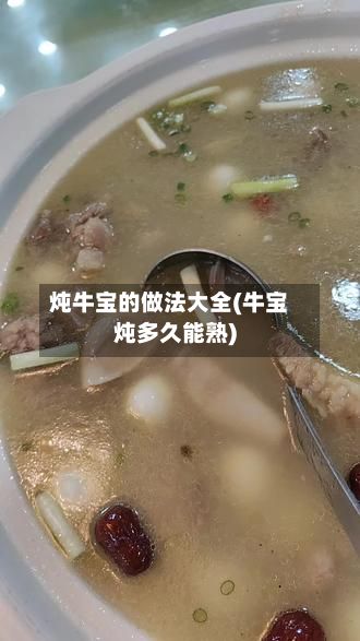 炖牛宝的做法大全(牛宝炖多久能熟)