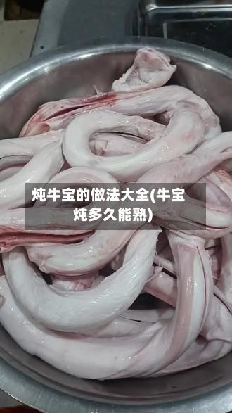 炖牛宝的做法大全(牛宝炖多久能熟)-第2张图片