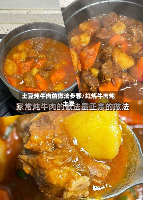 土豆炖牛肉的做法步骤/红烧牛肉炖土豆