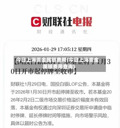 今日上海贵金属银费用(今日上海贵金属银费用查询)