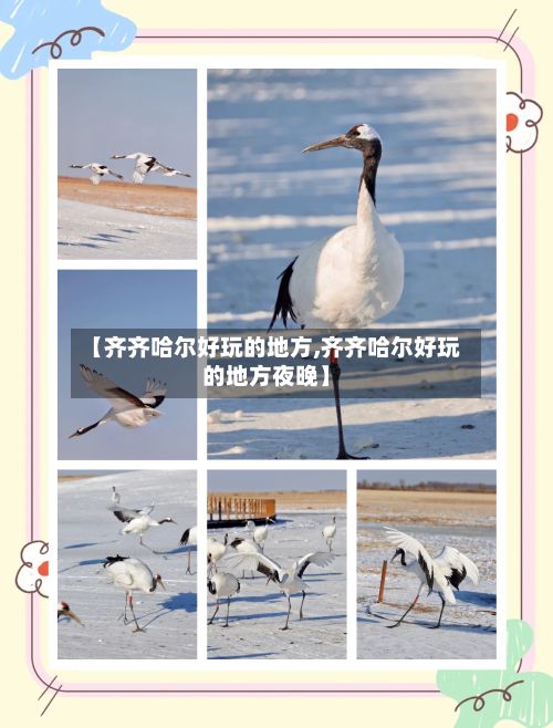 【齐齐哈尔好玩的地方,齐齐哈尔好玩的地方夜晚】
