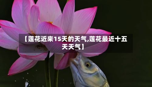 【莲花近来15天的天气,莲花最近十五天天气】