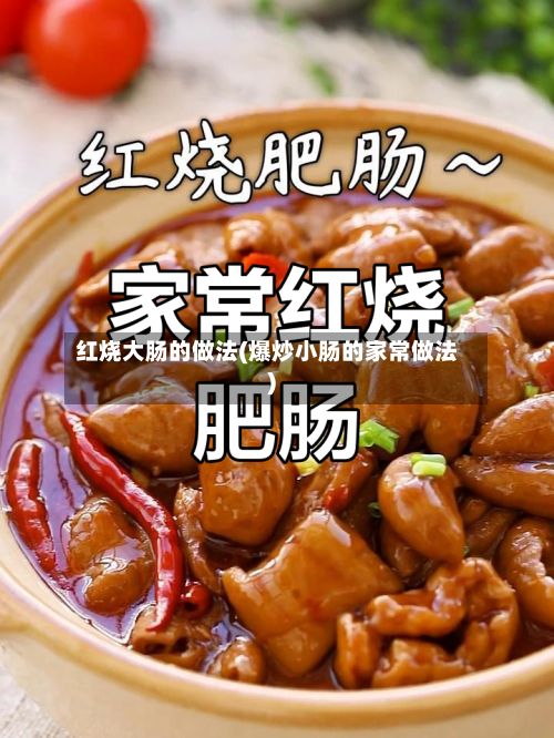 红烧大肠的做法(爆炒小肠的家常做法)