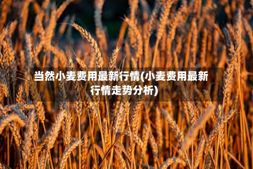 当然小麦费用最新行情(小麦费用最新行情走势分析)