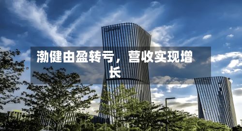 渤健由盈转亏	，营收实现增长-第3张图片