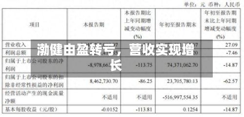 渤健由盈转亏，营收实现增长-第2张图片