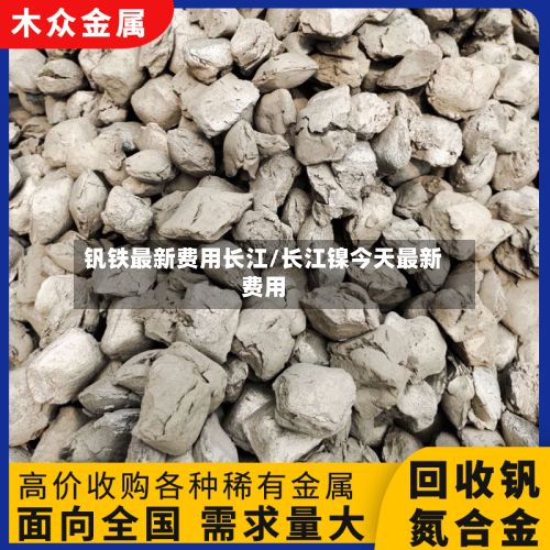 钒铁最新费用长江/长江镍今天最新费用