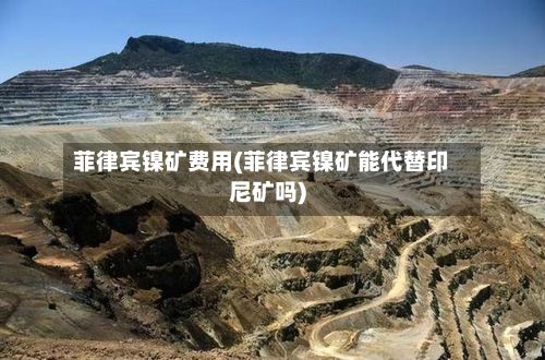 菲律宾镍矿费用(菲律宾镍矿能代替印尼矿吗)