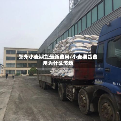 郑州小麦期货最新费用/小麦期货费用为什么波动