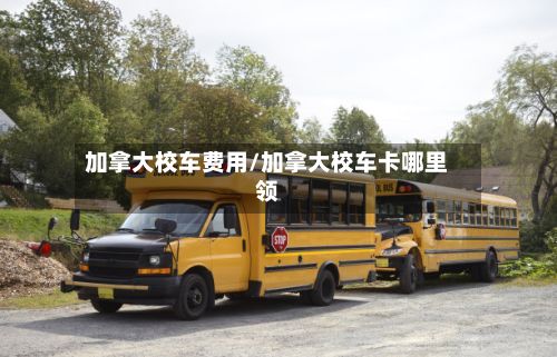 加拿大校车费用/加拿大校车卡哪里领-第2张图片