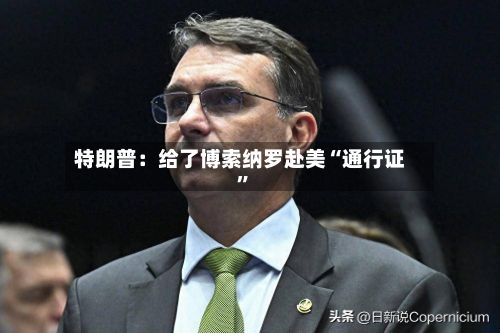 特朗普：给了博索纳罗赴美“通行证”
