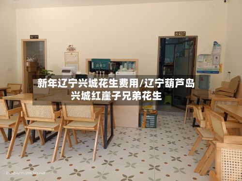 新年辽宁兴城花生费用/辽宁葫芦岛兴城红崖子兄弟花生-第2张图片