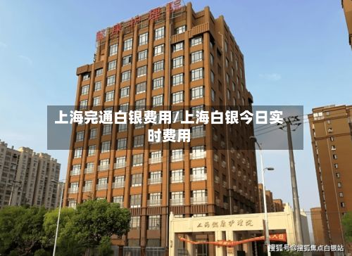 上海完通白银费用/上海白银今日实时费用-第2张图片