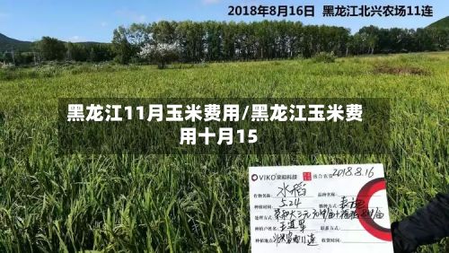 黑龙江11月玉米费用/黑龙江玉米费用十月15