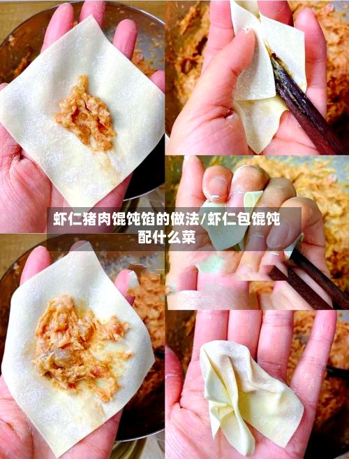 虾仁猪肉馄饨馅的做法/虾仁包馄饨配什么菜-第2张图片
