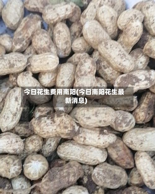今日花生费用南阳(今日南阳花生最新消息)-第2张图片