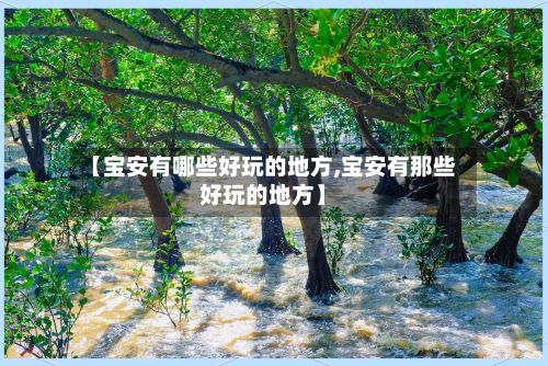 【宝安有哪些好玩的地方,宝安有那些好玩的地方】
