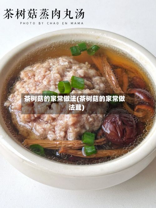 茶树菇的家常做法(茶树菇的家常做法茸)-第2张图片