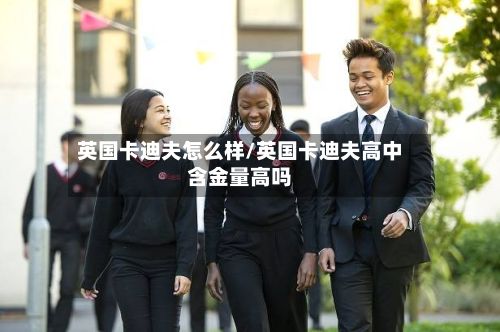 英国卡迪夫怎么样/英国卡迪夫高中含金量高吗