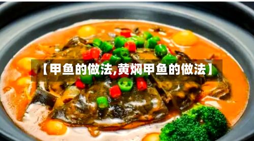 【甲鱼的做法,黄焖甲鱼的做法】