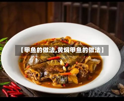 【甲鱼的做法,黄焖甲鱼的做法】-第3张图片