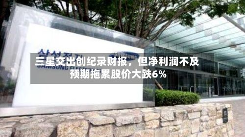 三星交出创纪录财报，但净利润不及预期拖累股价大跌6%-第2张图片