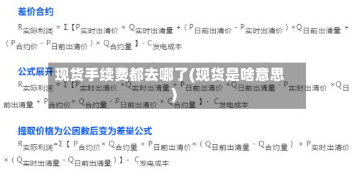 现货手续费都去哪了(现货是啥意思)-第2张图片