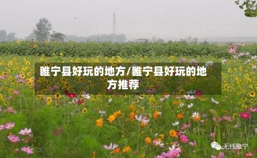睢宁县好玩的地方/睢宁县好玩的地方推荐-第2张图片